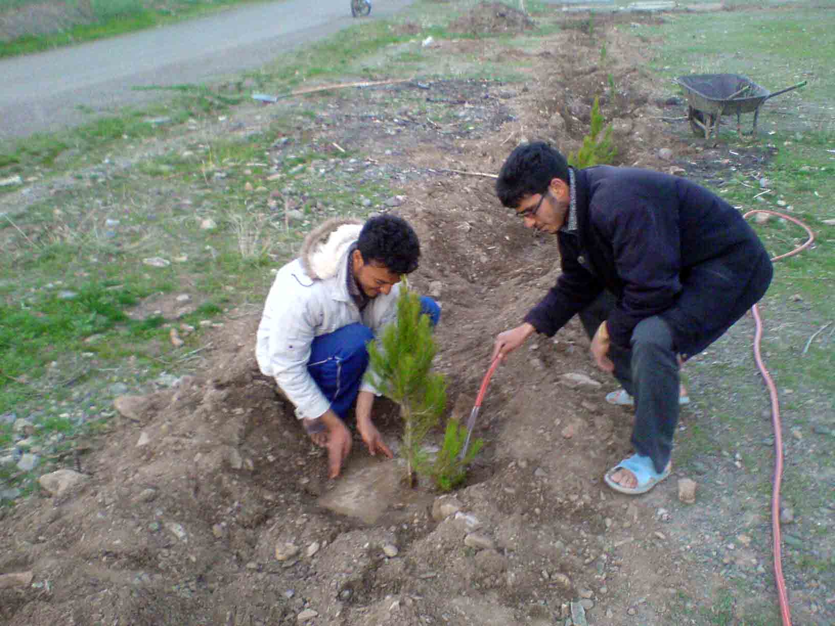 درختکاری مزار شهداء روستای روچی
